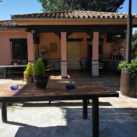 Casa Rural Las Palmeras Ronda Ngoại thất bức ảnh