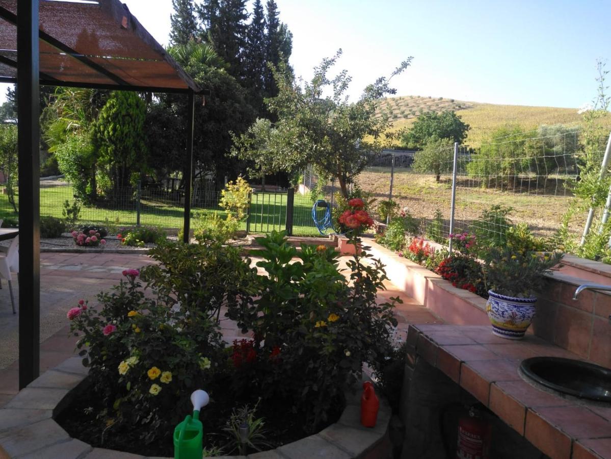 Casa Rural Las Palmeras Ronda Ngoại thất bức ảnh