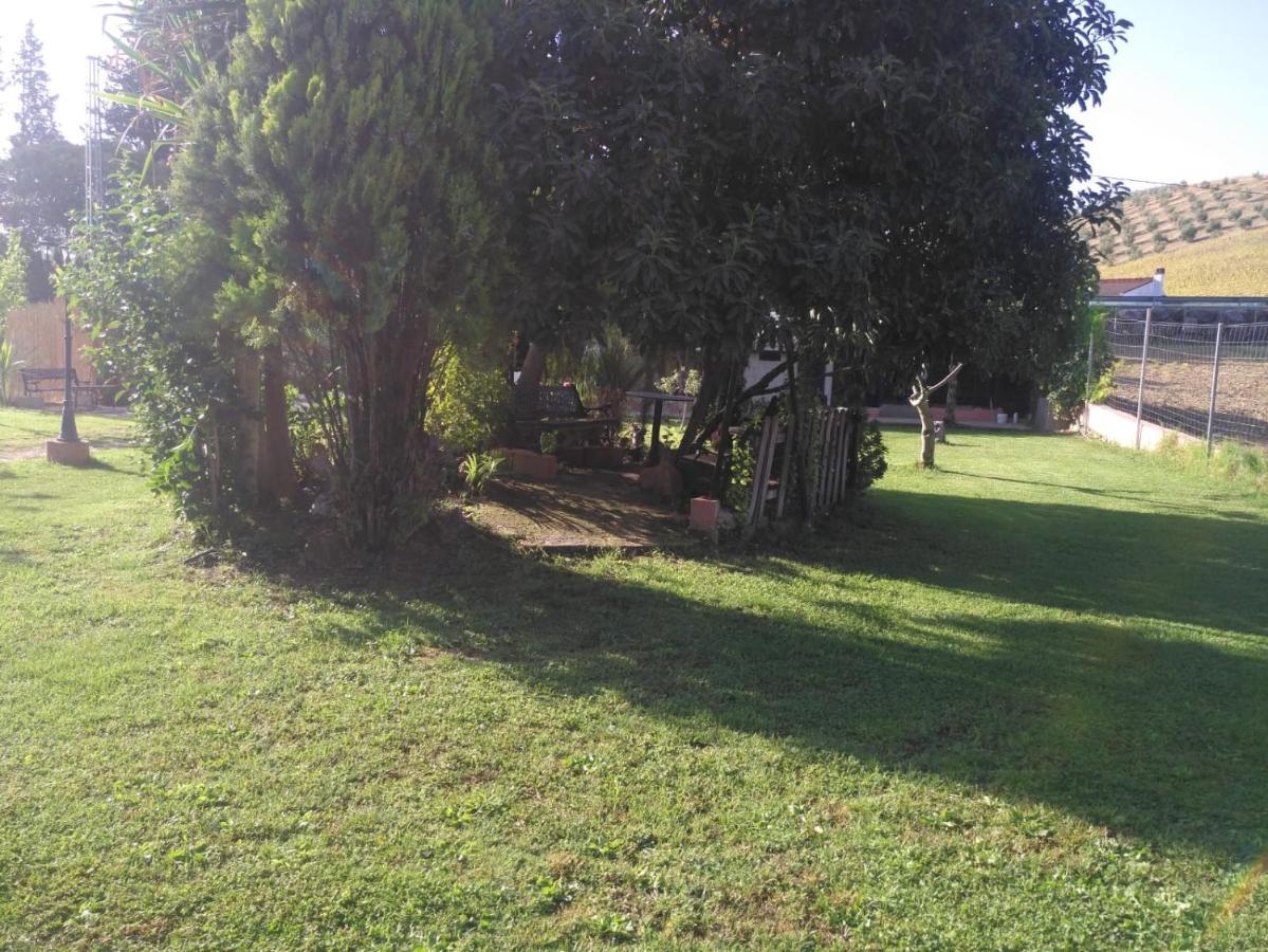 Casa Rural Las Palmeras Ronda Ngoại thất bức ảnh
