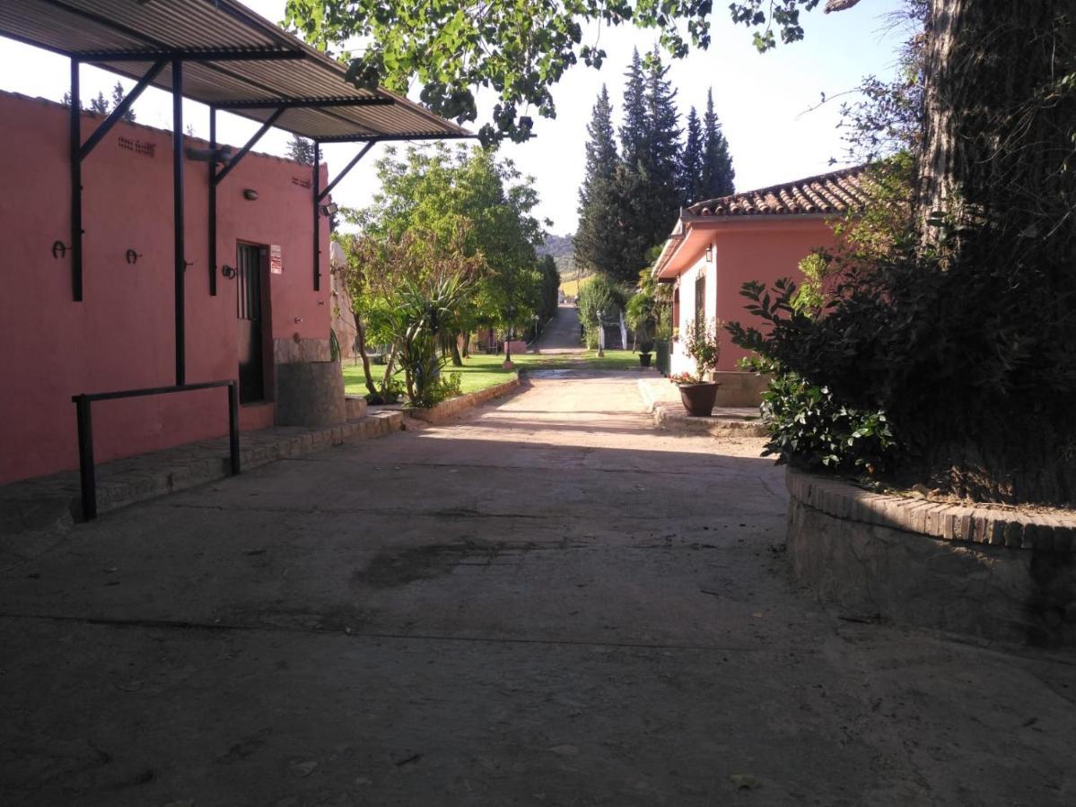 Casa Rural Las Palmeras Ronda Ngoại thất bức ảnh