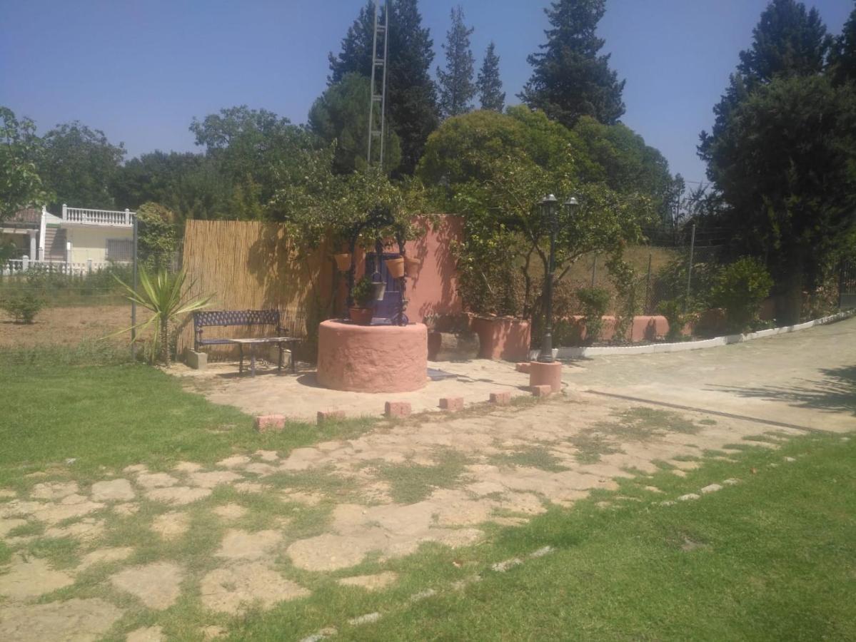 Casa Rural Las Palmeras Ronda Ngoại thất bức ảnh