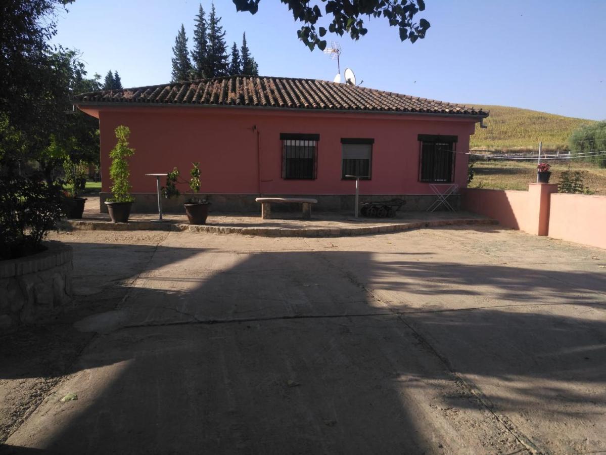 Casa Rural Las Palmeras Ronda Ngoại thất bức ảnh