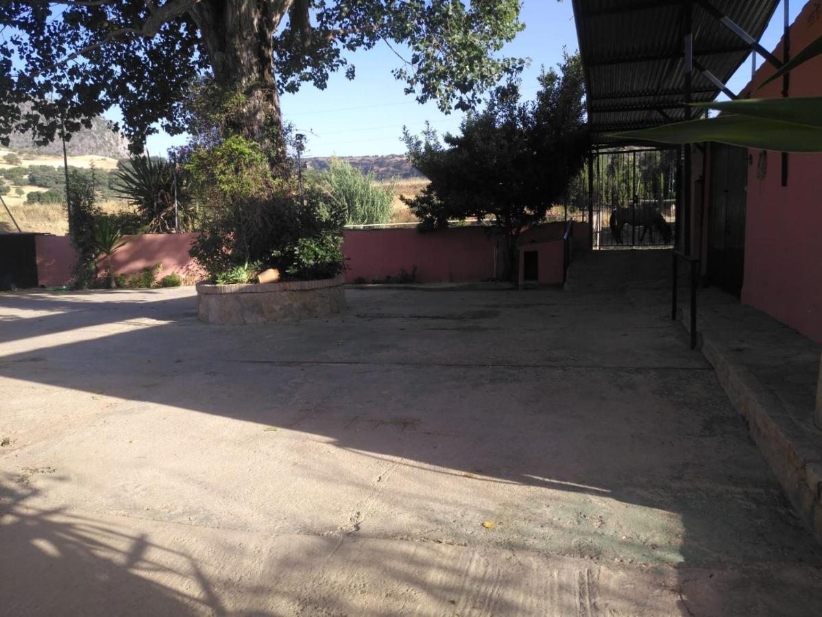 Casa Rural Las Palmeras Ronda Ngoại thất bức ảnh