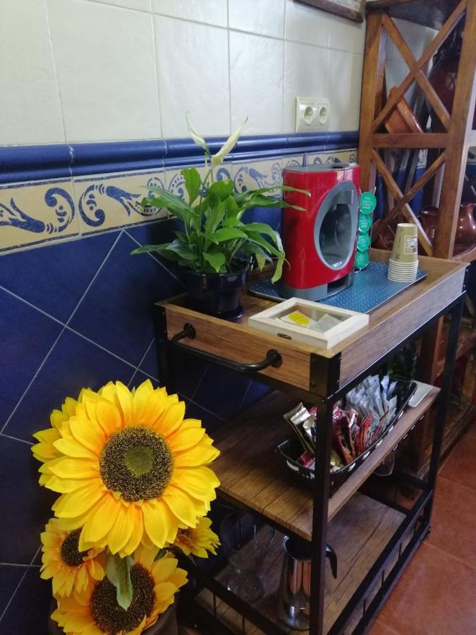 Casa Rural Las Palmeras Ronda Ngoại thất bức ảnh