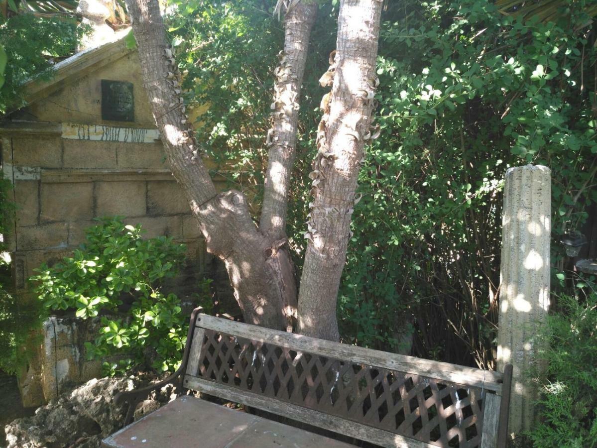 Casa Rural Las Palmeras Ronda Ngoại thất bức ảnh